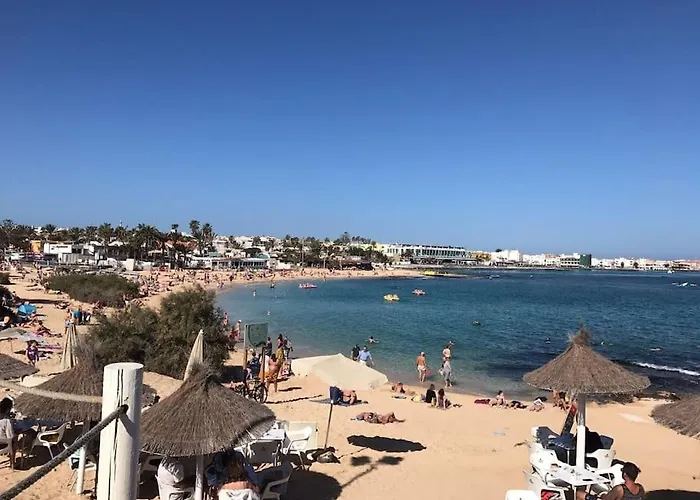 Apartment Oasis Royal *