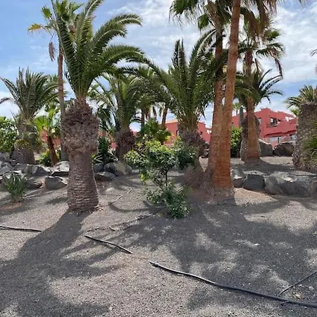 Oasis Royal * كوراليهو